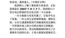 关于启示的作文：大自然的启示_900字