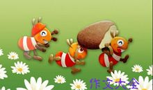 关于启示的作文：小蚂蚁大启发_300字