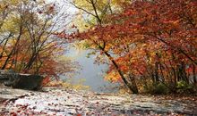 若瑶雪上舞々寒尘痴情锁_1500字