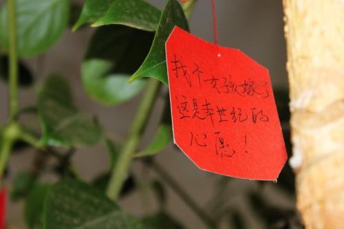 [2015年新年的愿望]新年愿望_450字