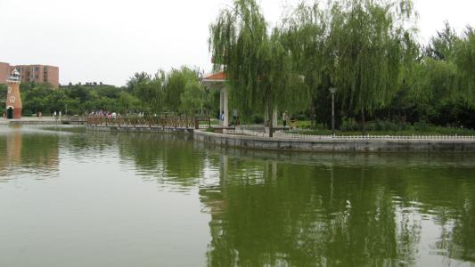 张白公园_600字