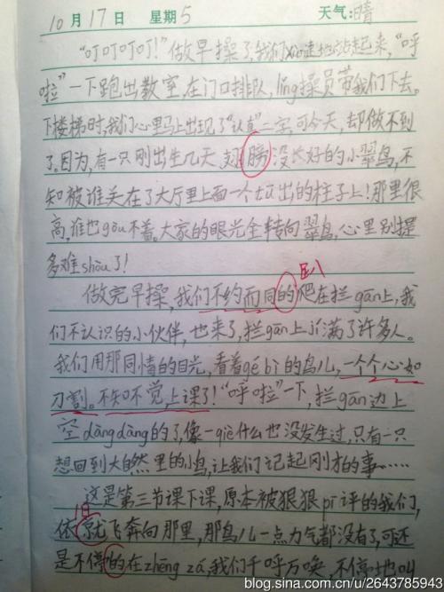 我们的校园_650字