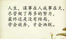 学会洒脱_600字