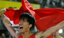 给刘翔哥哥的一封信_400字