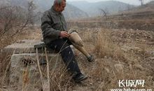 中国梦我的梦_450字