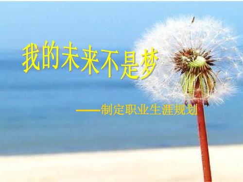 为了找到我的未来，我的梦想，我的脚步从未停止过，从一个包装的伎俩的孩子，现在成为一个不断追逐的学生，我一直在为我的梦想挣扎，但现在我是不断学习的，但我知道，每一点，每一秒，每一刻，我是一个坚固的钢筋为我的理想，放一块坚实的砖，一天。建立一个坚实的基础。所以我相信我的未来不是梦想。
