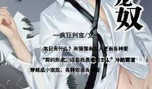 双子の契约_300字