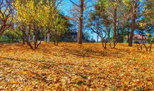 迷人的秋天_200字