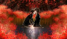 血色玫瑰之曼珠沙华_350字