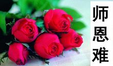 难忘师恩_1200字