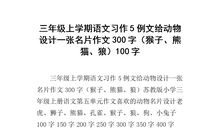 【微作文】狼_100字