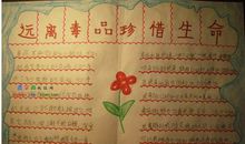 珍惜，生命_700字