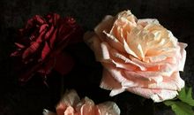 《有点小思绪‘》之勾勒_1200字