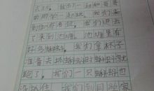 《精灵初学，请帮忙》（一）_300字