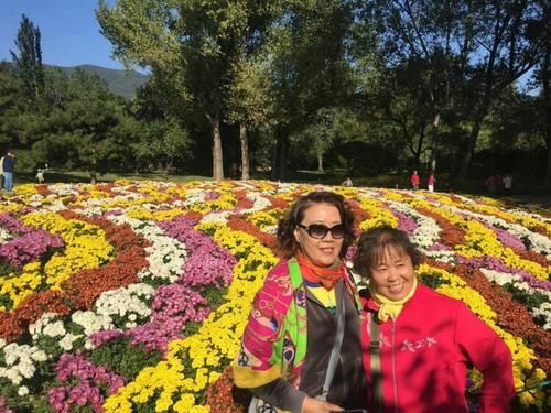 种植花园_450字