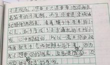 [PK赛]关于我的__的作文：我的家庭_150字