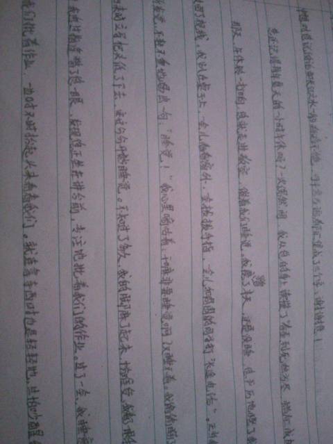 给“王王”的一封信_400字