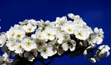 第七节—— 心 伤 难 愈（下）_1500字