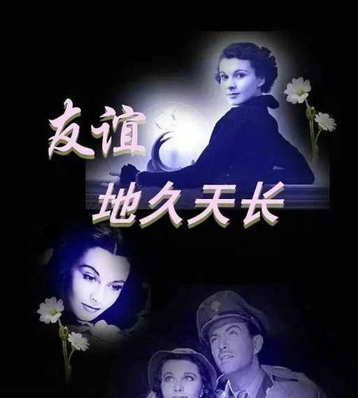珍惜周围的友谊_100字