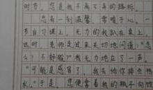 [PK赛]关于我的___的作文：我的老师_600字