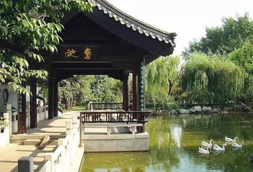 美丽的鹅游泳池_400字
