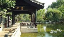 美丽的鹅池_400字