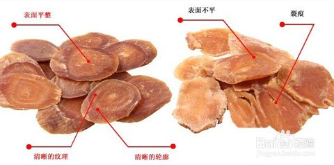 世界第十四章是_550字