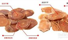 异界 第十四章 参上_550字