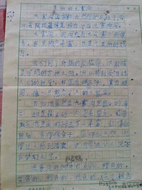 赖特爱歌_1000字