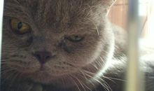 左边·泪珠_1200字