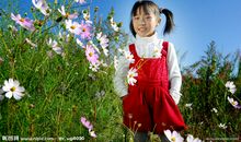 女孩 女孩！_550字