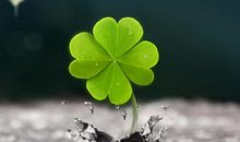 [少年时代]奋斗吧！少年_750字