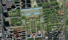 明天不要是滑铁卢_800字