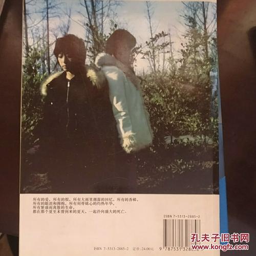 第05章1998年夏季分离。阳天（（中）_3000字