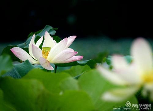夏天就是，没有感觉_750字