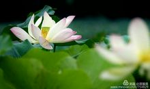 夏日已尽，已无感觉_750字