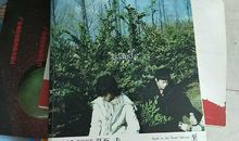 Chapter.08 2002 夏至.流岚 .樱花祭_3000字