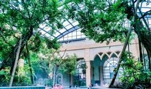 武义泡温泉_700字