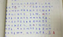 给哥哥的一封信_250字