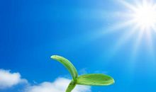 笑着面对人生_800字