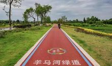 娜丽雅琳郁娅翾 我们说好不分离，要一直一_800字