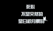 不是每句对不起，都能换回一句没关系_1500字