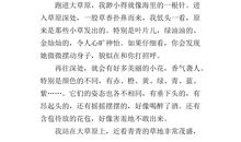 初一写景作文：风景中的美_650字