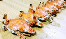 谢谢你，班长_2000字