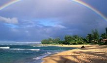 【微作文】燃烧斗志，只为当初的梦想_200字