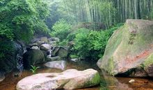 时间漫过沙华（一）初遇，心跳_650字