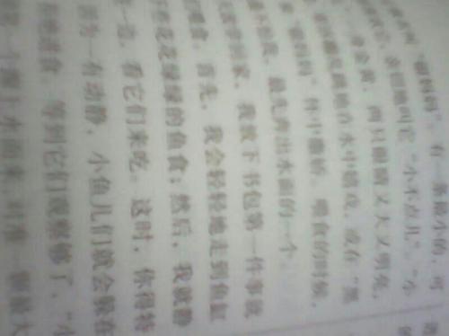 [微型文本]伤害_100字