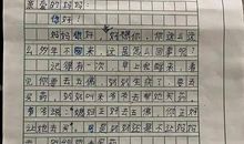 给地球妈妈的一封信_400字