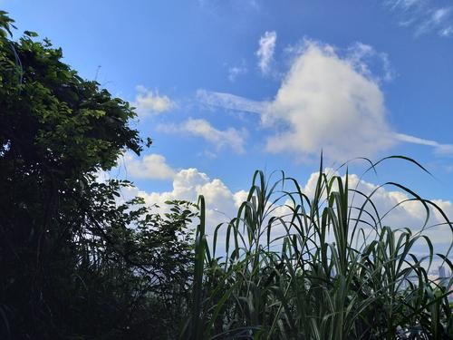 高中想象力：曲源遇见司马Qian_1000字