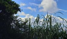 高二想象作文：当屈原遇见司马迁_1000字